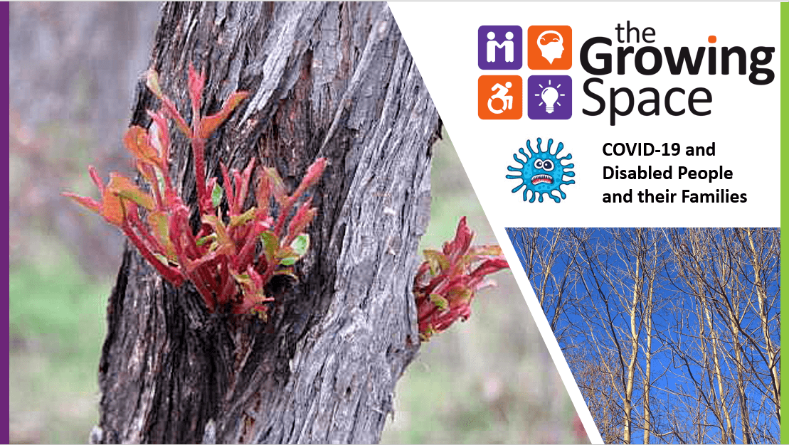 first slide screenshot featuring trees, TGS logo and a covid icon